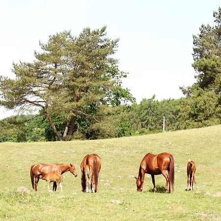 Reihenhaus Am Gardersee *