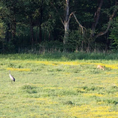 Reihenhaus Am Gardersee * Garden