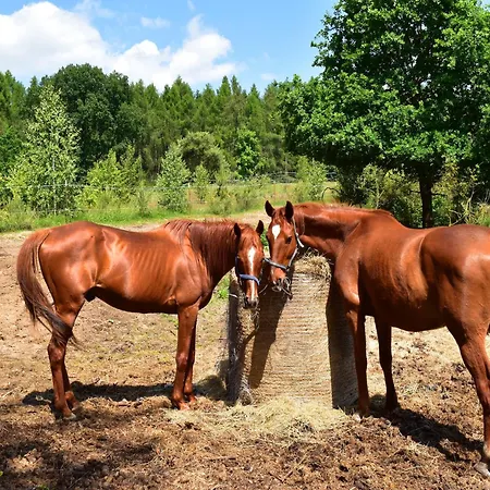 Reihenhaus Am Gardersee Semesterbostad Garden
